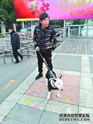 ��һ�����ջ����ս �½�Ŀ�ܷ���ܡ���N����